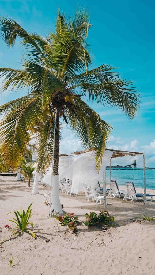 Makary Beach Hotel Tolú المظهر الخارجي الصورة